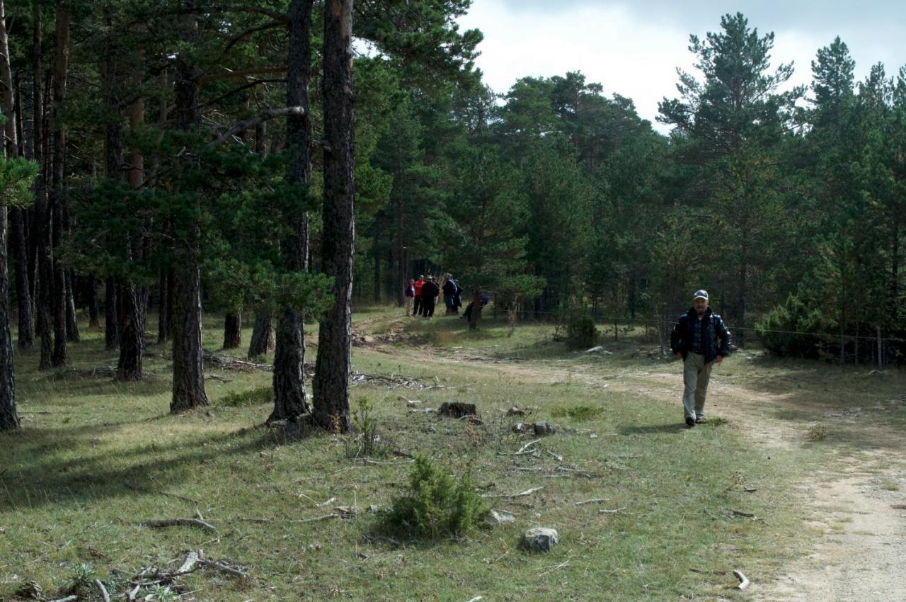 Appartement Sierra De Gúdar