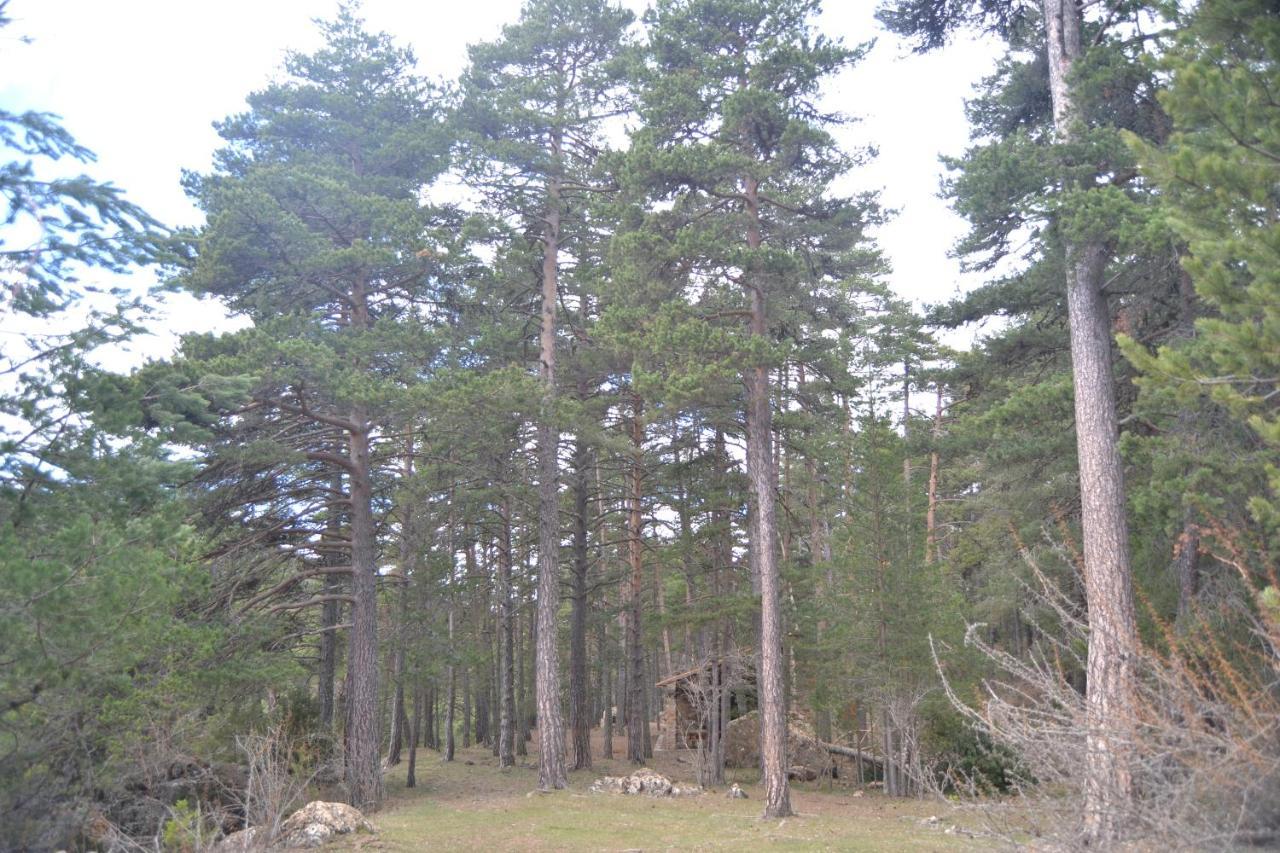 Sierra De * Gúdar